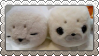 sealplush